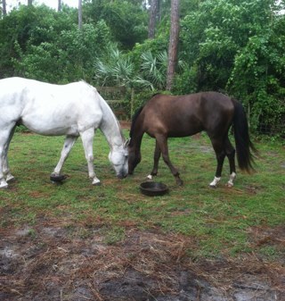 colleenmcgarr's profile picture. 