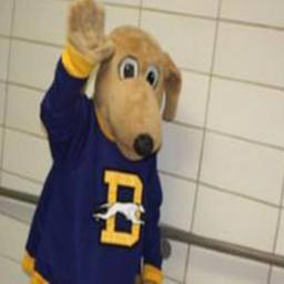 The official Twitter account of the Downingtown West High School Counseling Department. 1 of @Newsweek's top public High Schools in the United States of America