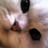 0620_sue's profile image