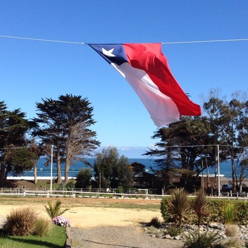 salaranci's profile picture. 