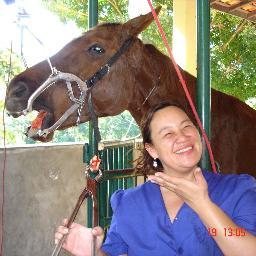 Veterinarian, Equine Dentist, Animal Lover, curso de odontologia equina, odontologia equina, cavalo