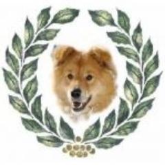 ごはん大好き