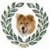 echigoya957🌾 (@echigoya957) Twitter profile photo echigoya957🌾 (@echigoya957) Twitter profile photo