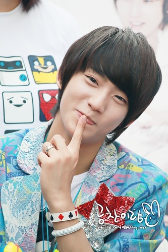/superjunior/B1A4BANA/ 東方神起/ 少女時代/KARA/
BOYFRIEND/TEENTOP/ 2PM/2AM/G,NA/T-ARA/
block B/ BIGBANG/ NU'EST/MY NAME/INFNITE