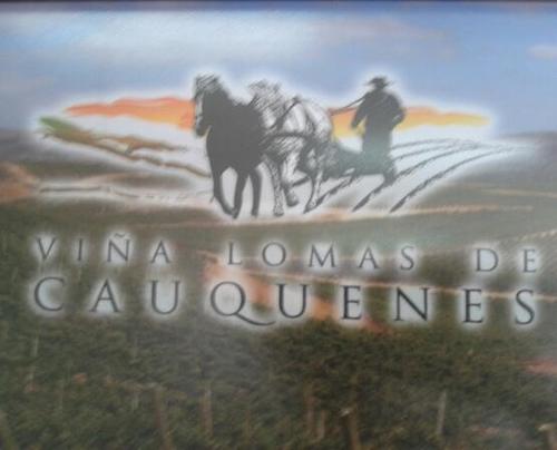 solo se que nada se...