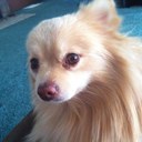 eddie madrid jr - @EmadridJr - Twitter