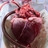agnes_brain's profile image