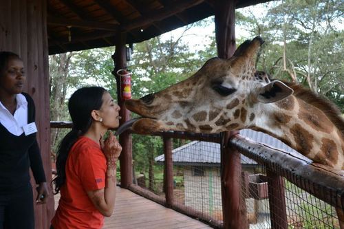 MeeraShah12's profile picture. Lover of most 'S' things related to digital including #SEO, #socialmedia, statistics and #strategy. Loves #cooking, #contentmarketing and craft work. :-)