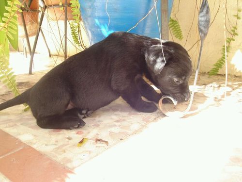 ese_iris's profile picture. Los amigos de verdad existen. ???? Creo ke no porque cuando los ayudas después te dan la espalda ..