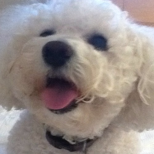 lilylewiw1's profile picture. 