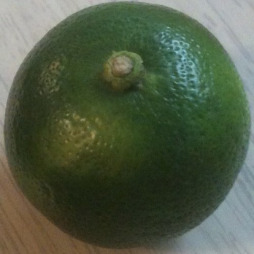 kurbis76's profile picture. 朝が苦手。猫、Kindle、日本酒等の話題に喰いつきます。