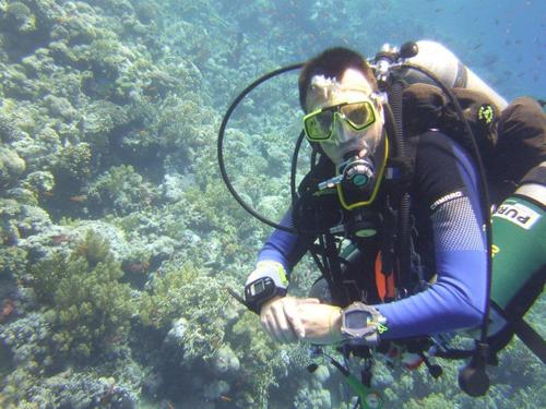 oc Tx diver