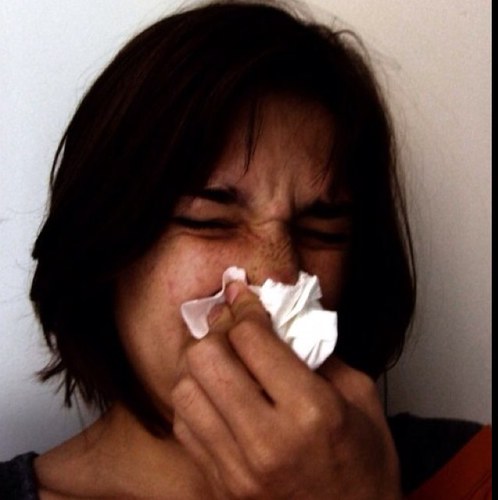 moimoije's profile picture. J'aime bien rire, et aussi les nachos. Je suis un volume mou.