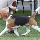 Martha McCartney - @prbeagler - Twitter