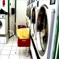Don't go out on a limb to do laundry.  
4000 S. Babcock St. Unit D