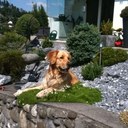 Roland Keller - @rolike61 - Twitter