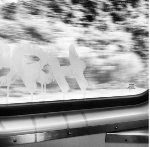 photo_guy2011's profile picture. Photographer