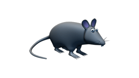 KarinStaes's profile picture. 