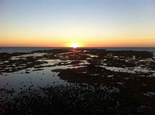 SamuelComino's profile picture. 