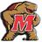 MCERT1's profile image