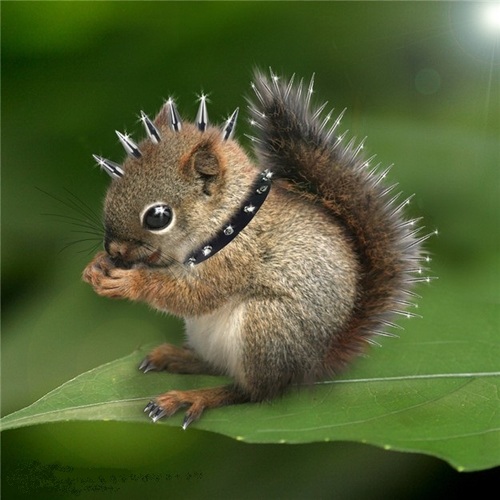 OnlyMe1D's profile picture. 