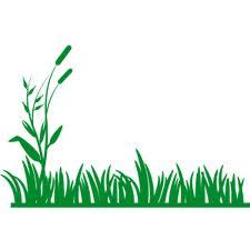 Knox County Lawns | Professional lawn care service for the Knox County, TN area