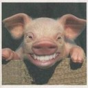 Profit Michael - @ProfitMichael1 - Twitter