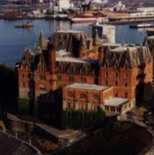 SHSTigerZone's profile picture. 