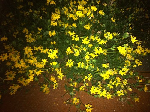 yesflo_com's profile picture. http://t.co/asvRVJo8t5