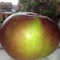 NYCSCHOOLSUPPORT (@nycschool) 's Twitter Profile