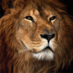 PerfectLaw Legal Software (@perfectlaw) Twitter profile photo PerfectLaw Legal Software (@perfectlaw) Twitter profile photo