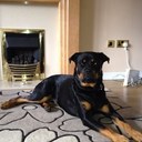 carol fielding - @Dexterdog01 - Twitter