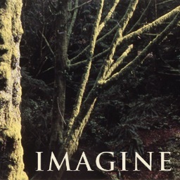 Connecting environmental advocates with global images, that emotionally and visually convey messages about protecting nature.