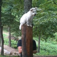 Tim long (@wisdomtl57) 's Twitter Profile