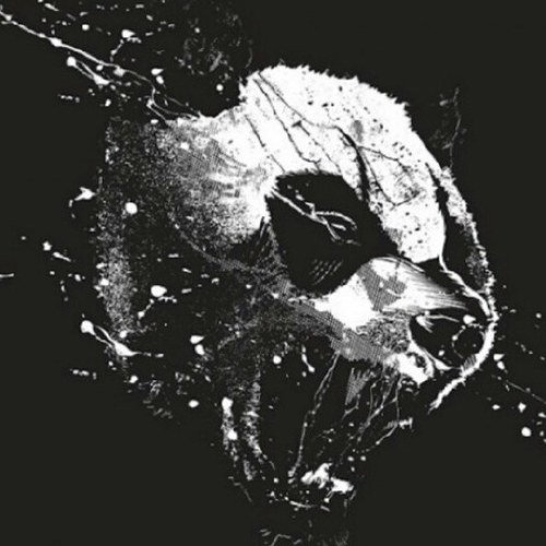 Caro_lilly's profile picture. 