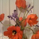 norma scott watt - @normawatt - Twitter