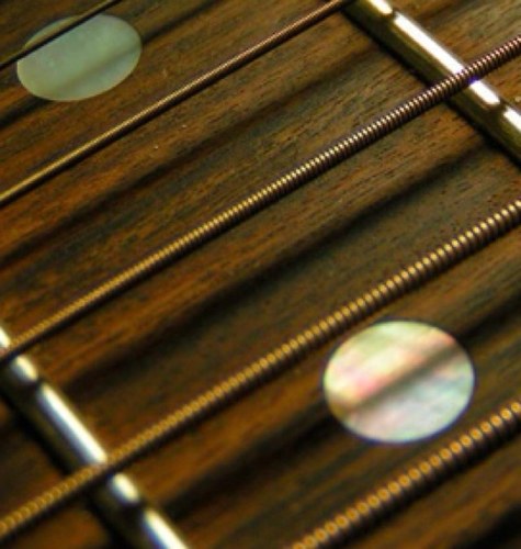 coda_guitars's profile picture. did I mention I’m a bad judge of character?