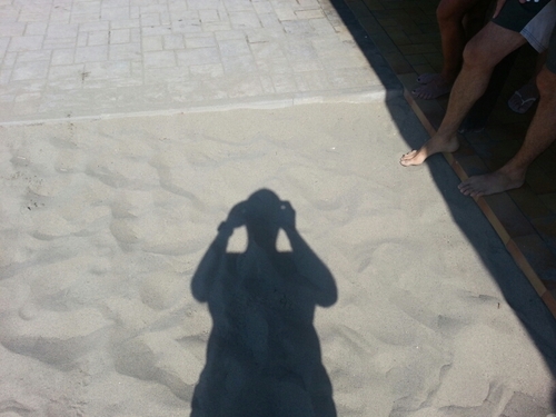 bolognaenrico's profile picture. 