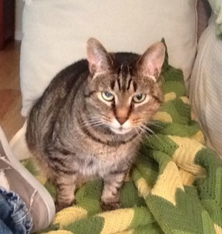 subpress_bill's profile picture. I read for a living. And sometimes publish things.