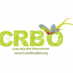 CR Bird Observatory (@crbo_costarica) Twitter profile photo CR Bird Observatory (@crbo_costarica) Twitter profile photo