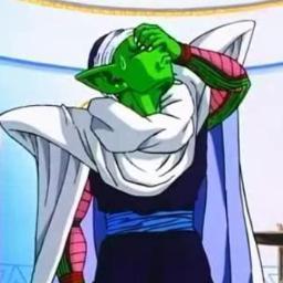 Namekian. Raised- I mean trained Gohan. Also trained Gotenks. Attempted to take over the world. #DBZRP parody account.