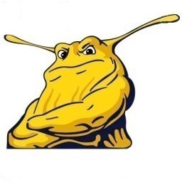 UCSC Mens Basketball Profile