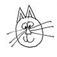 an internet nobody (@katster) 's Twitter Profile