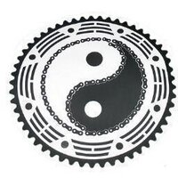 Steve Fuller (@zenbiking) 's Twitter Profile