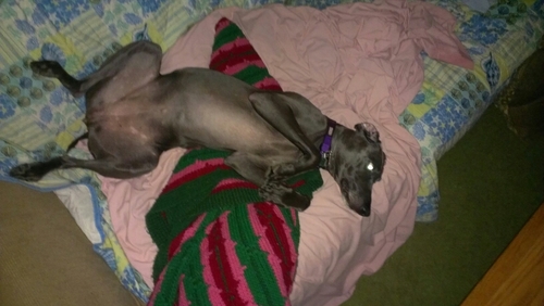 Always1Ahead's profile picture. 