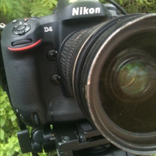 pressphotogs's profile picture. 