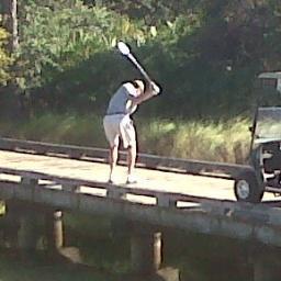 scrambln_hawk's profile picture. 