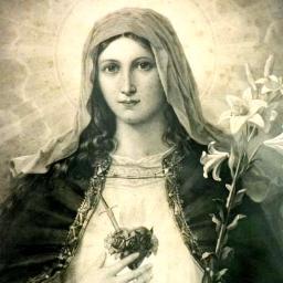 Sou de tal natureza que o temor me faz recuar; com o amor não somente avanço, mas vôo...
Sta Teresinha do Menino Jesus e Sagrada Face