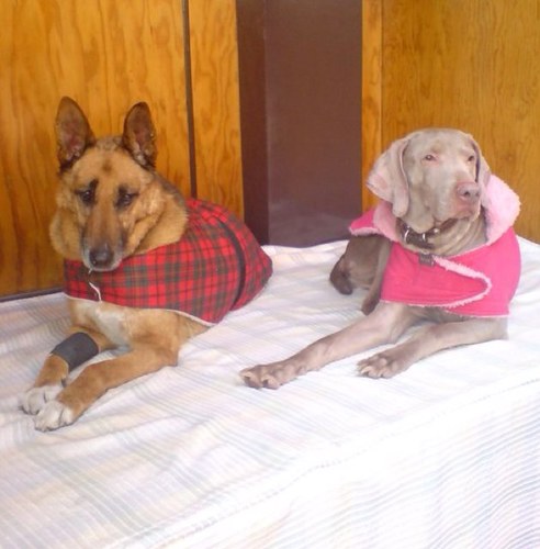 Cajiguita's profile picture. Amo el cine. Aprendo de los demás. Amo los museos. Escribir es mi gran reto. Colorear me tranquiliza. Viajar es mi sueño.