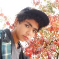 Yassine El Fekih (@yfekih) 's Twitter Profile